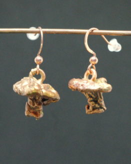 cantharellus cibarius copper plated earrings