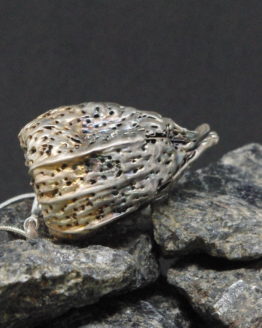 aged silver plated physalis peruviana pendant
